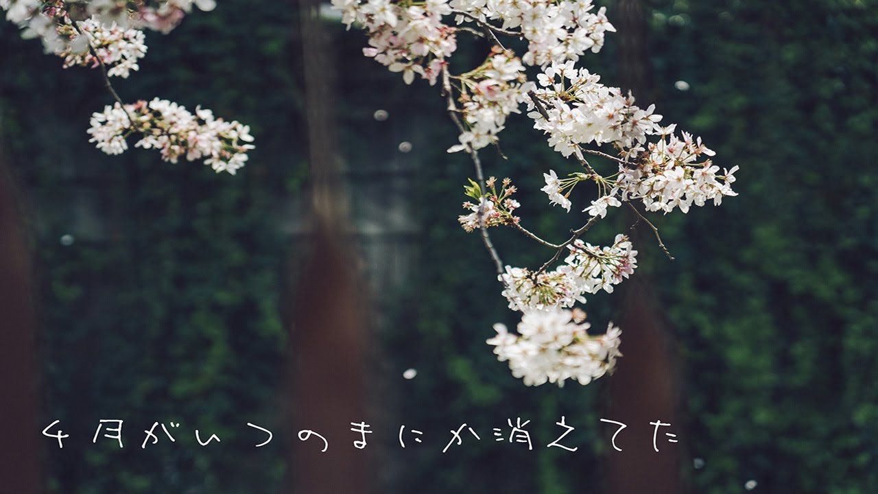 軽く雑談します