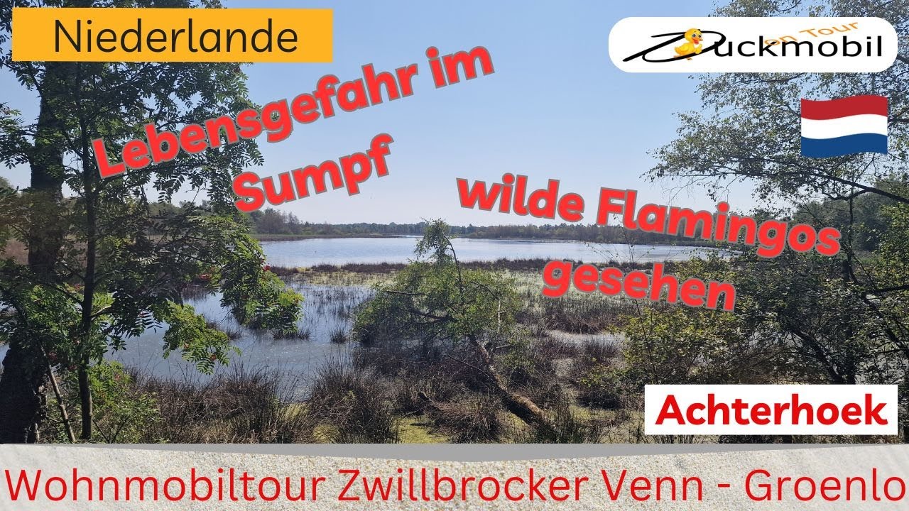 Wochenendtrip zu den wilden Flamingos im Zwillbrocker Venn + Groenlo - Zwarte Cross