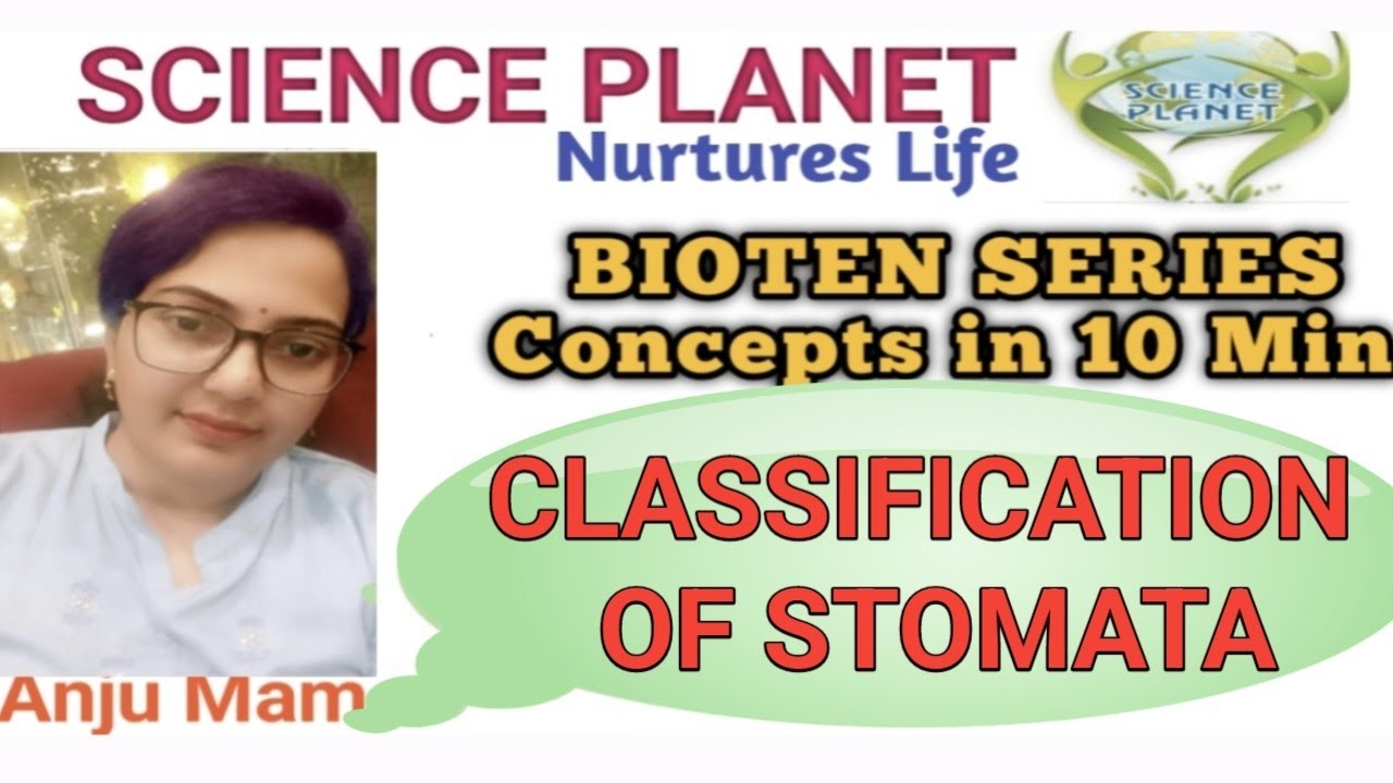 CLASSIFICATION OF STOMATA II TYPES OF STOMATA II BY ANJU MAM