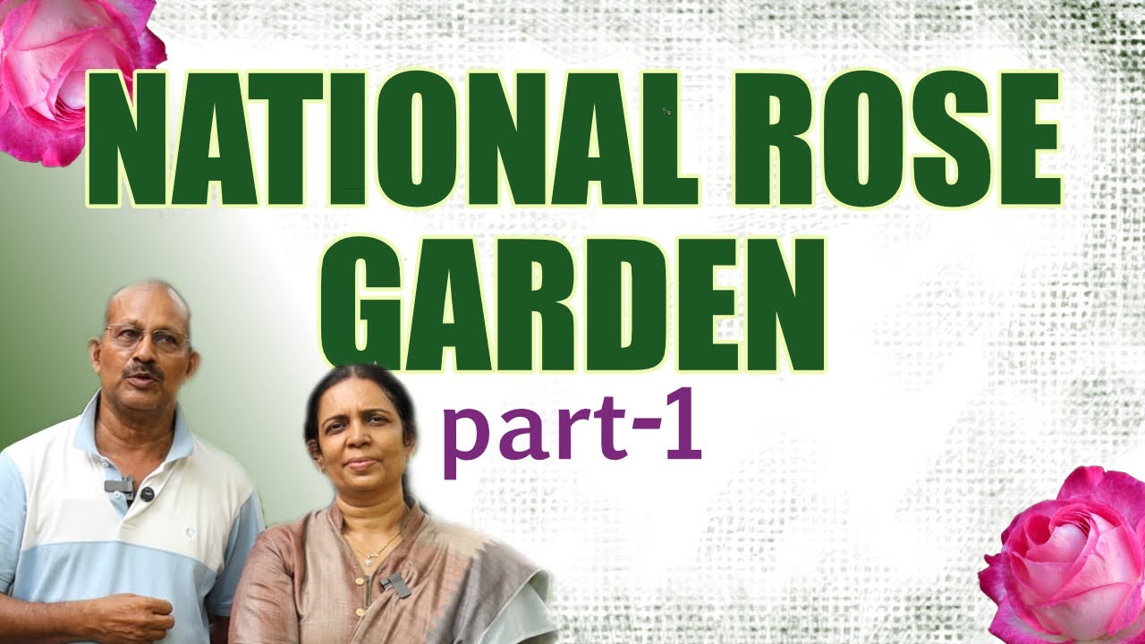 Part-1 കേരളത്തിലെ ഏറ്റവും വലിയ നഴ്സറി ടൂർ | National Rose Garden | NR