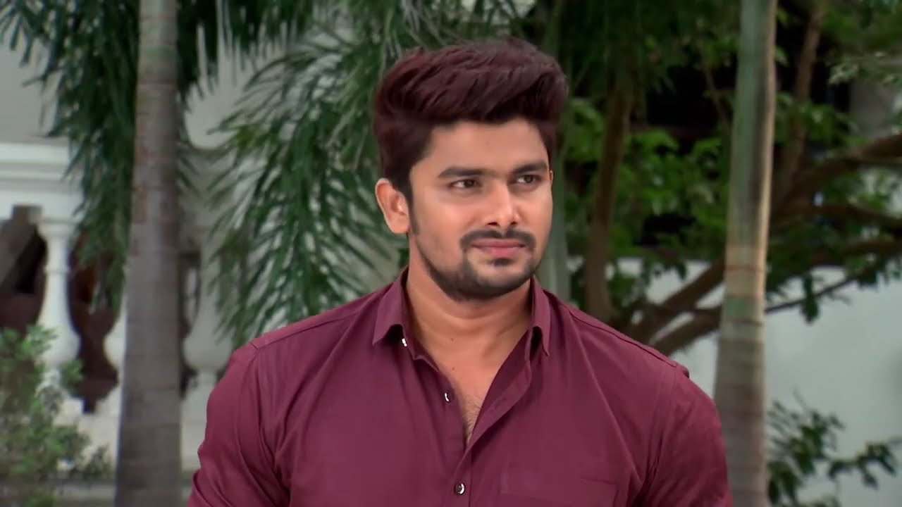 Kalyana Vaibhogam - Ep 663 - Meghana Lokesh - Telugu Tv Serial - Zee5 Telugu Classics