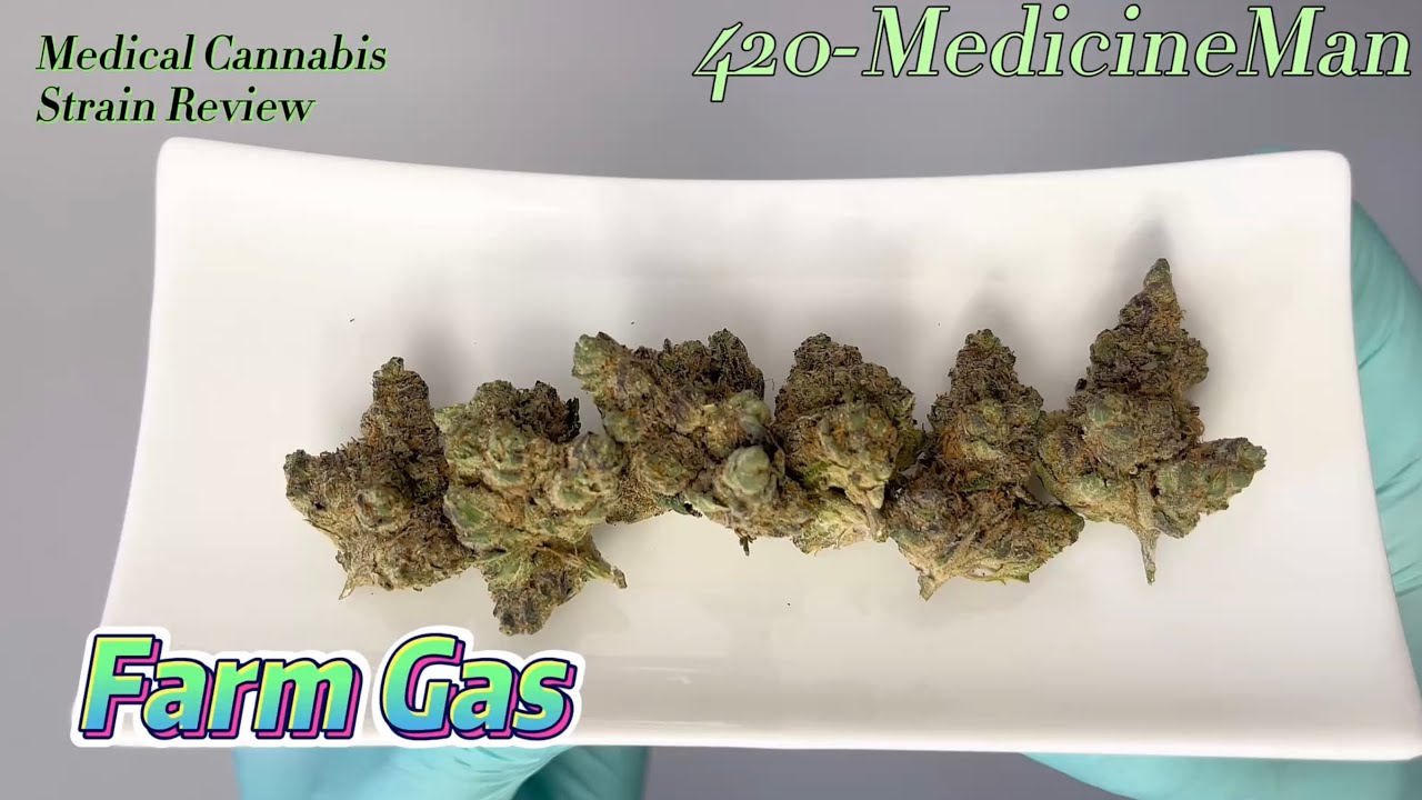 🌳 Aurora Pedanios 27/1 FRG-CA aka Farm Gas | Med. Cannabis #StrainReview | 420-MedicineMan