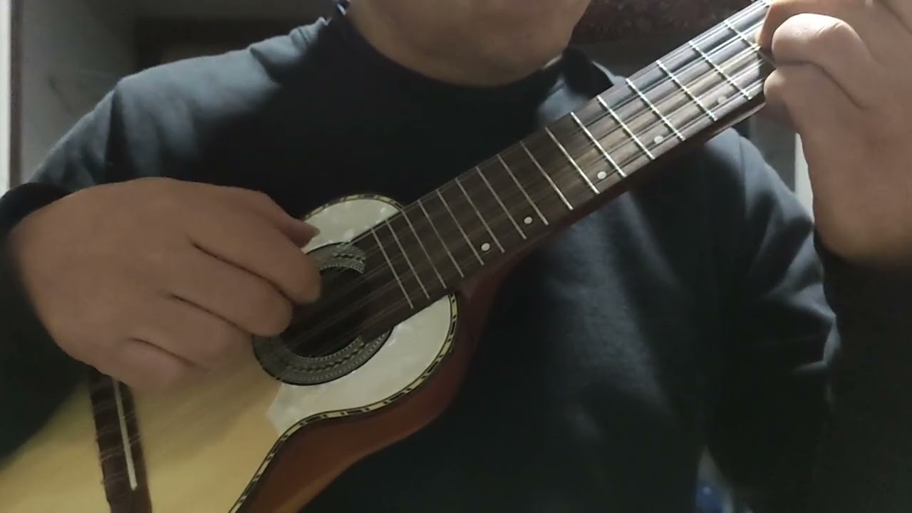 Last of us. (Gustavo Santaolalla) Charango cover