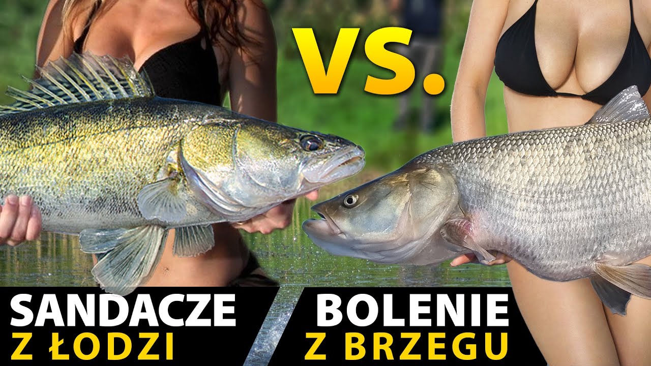Kto wygra Challenge - Bolenie z brzegu czy Sandacze z łodzi?