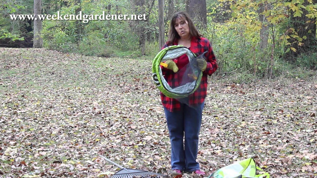 Product Review: dsolv composting bags