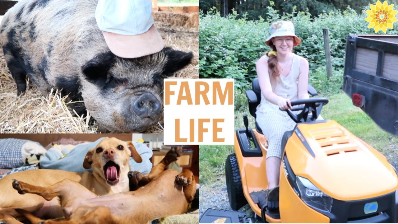 FARM LIFE | GROWING MUSHROOMS, GARDENING, & BAKING