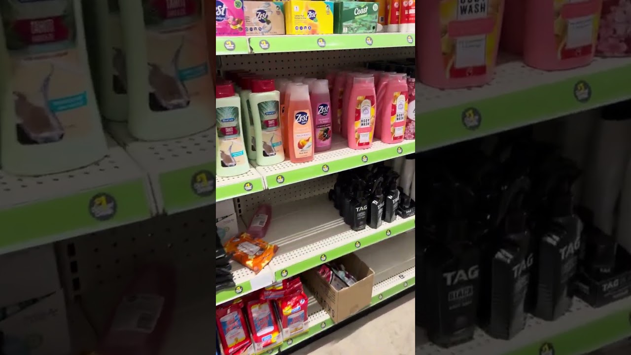 Dollar General $1.00 items