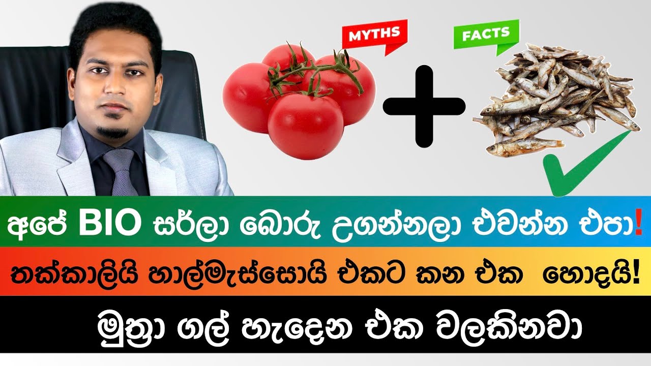 තක්කල්ලි වලට හාල්මැස්සෝ දාල කන්න, ගල් හැදෙන එක වලකිනවා|Tomato, Sprats and  Kidney stone| Nutri Info