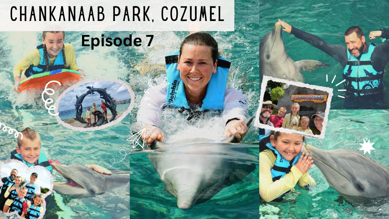 Chankanaab Adventure Park - Cozumel - Dolphin Swim Review & Sea Lion Show