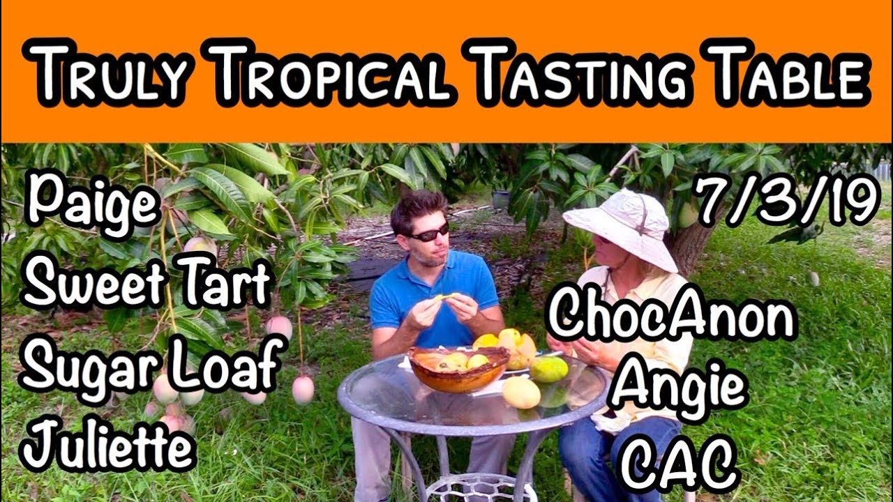 Truly Tropical Tasting Table #10 (July 3, 2019)