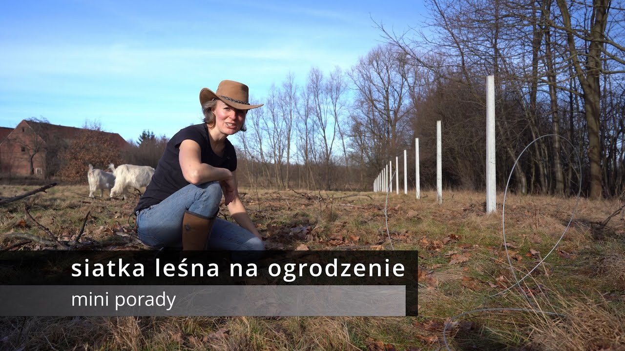 Ogrodzenie | Siatka leśna | Kto najlepiej przepycha dziurki na wsi ?