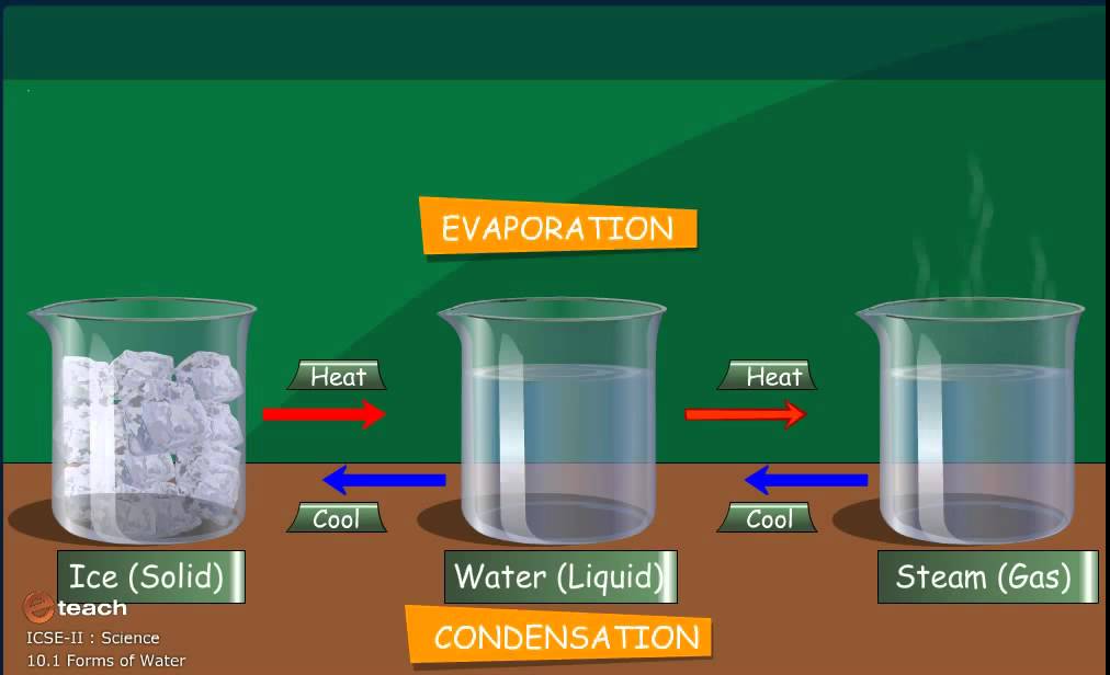 ICSE II SCIENCE forms of water