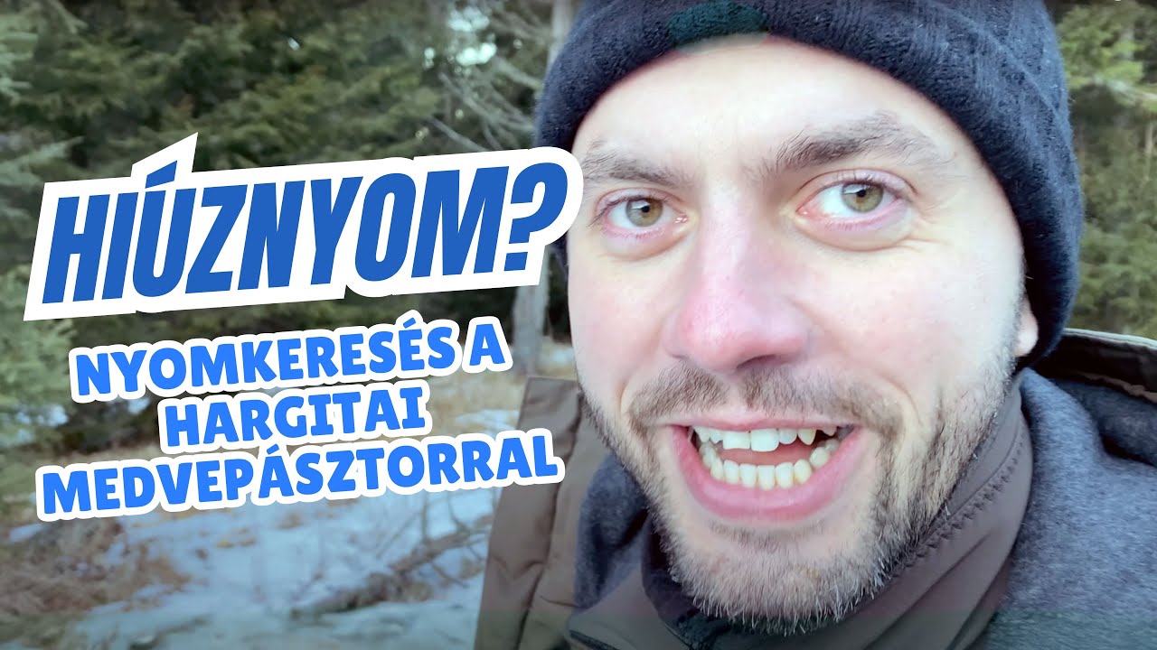 Узнаете ли вы следы рыси? Отслеживание с медвежьим пастухом Харгиты