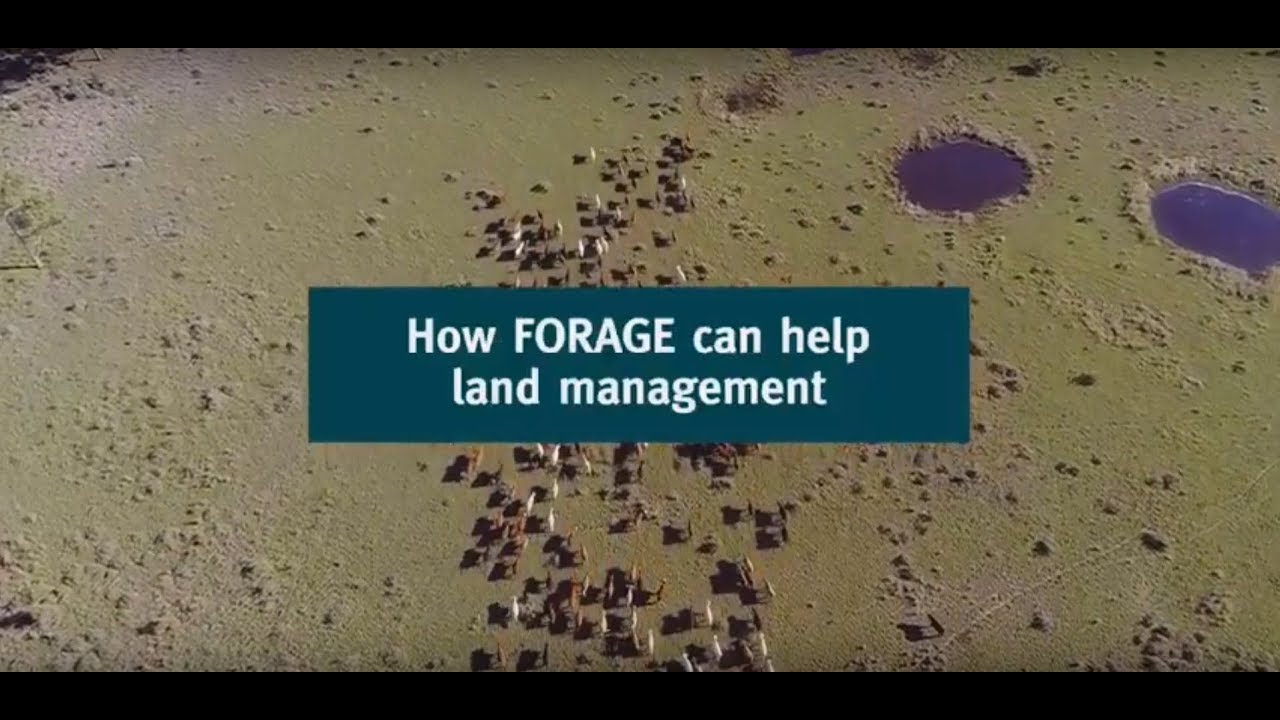 How FORAGE can help land management.