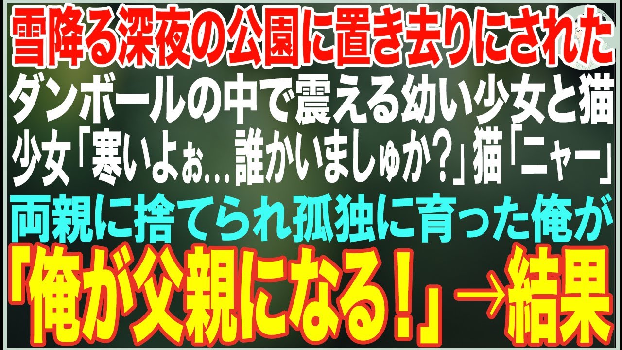 【感動する話】雪降る深夜の公園に置き去りにされた幼い少女と猫→両親に捨てられ孤独で育った俺は二人を守ると決め、本当の愛を知った結果...【朗読・スカッと・泣ける話】