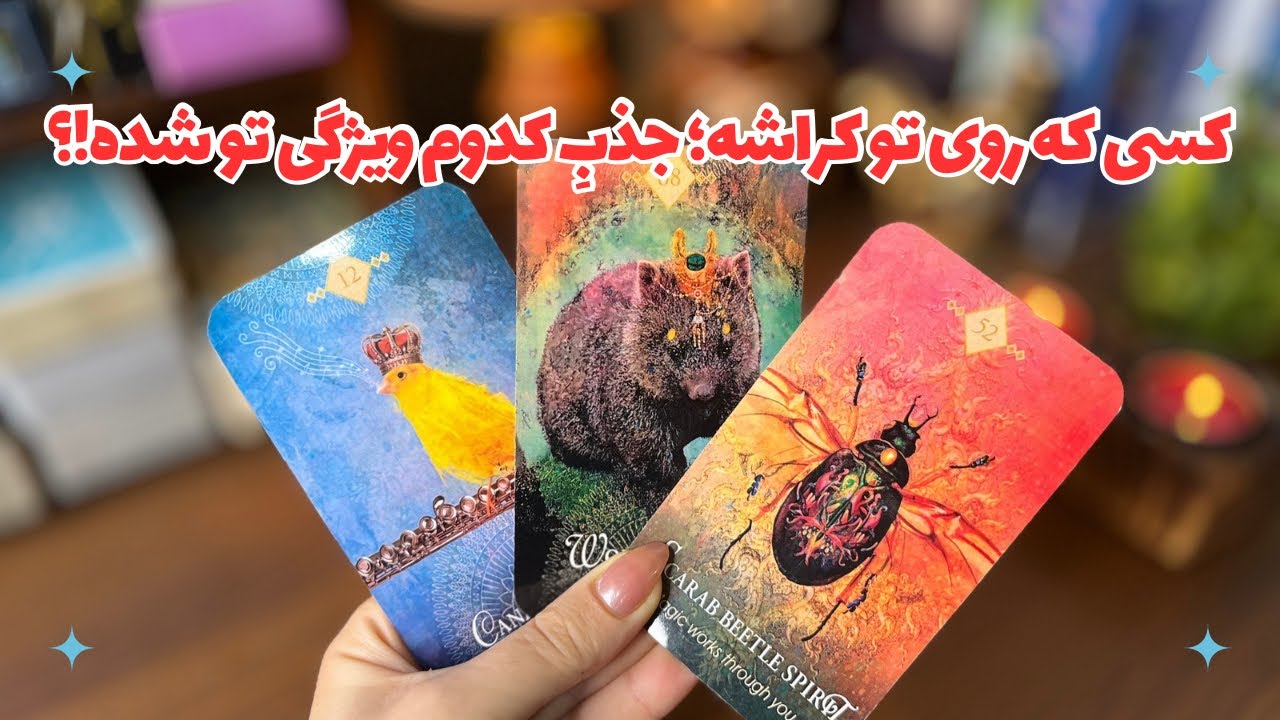  🪼چی در تو وجود داره که جذبش کرده؟🪼کسی که روی تو کراشه جذبِ کدوم ویژگی تو شده!؟