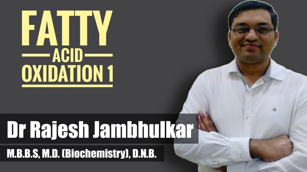 2. Fatty acid Oxidation- Beta Oxidation of Fatty acids