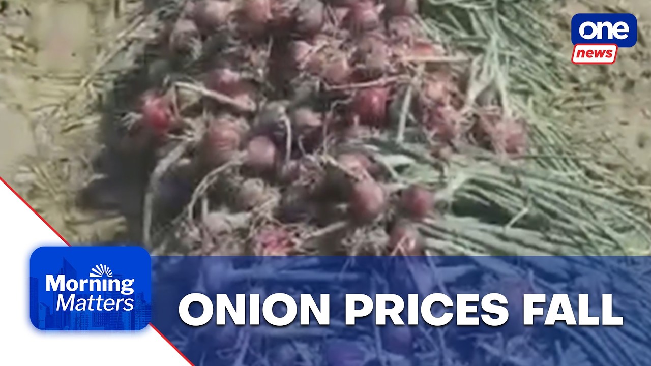 Onion farmers urge gov&rsquo;t action over falling farmgate prices