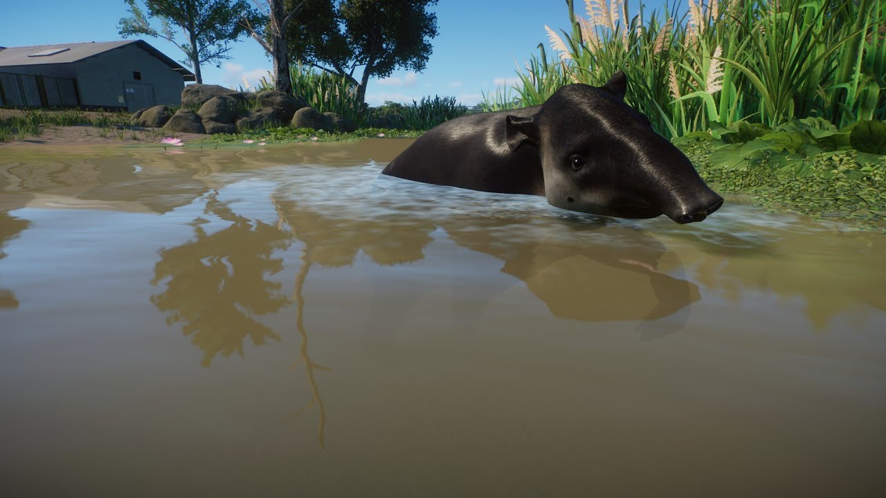 Today I'm building a nice tapir enclosure.