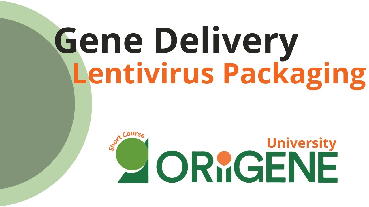 Университет OriGene: Обзор упаковки лентивирусов