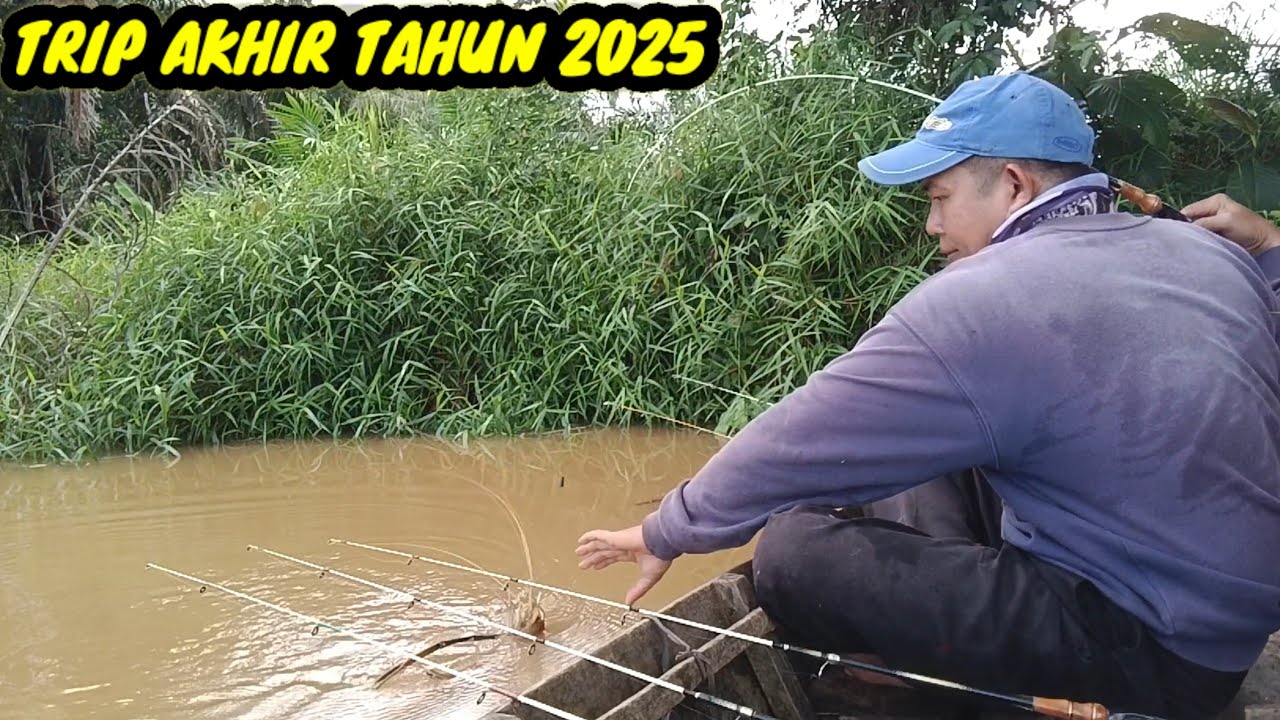 Banyak Tarikan Udang Galah Besar , Mancing Udang Galah Akhir Tahun 2025