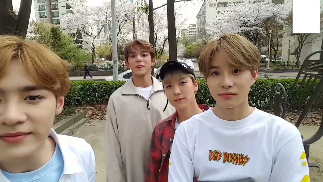 💚🌸봄봄봄🌸💚 180403