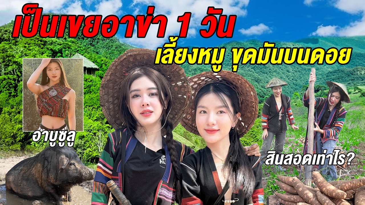 พิชิตใจสาวอาข่า! ใช้ชีวิตเป็นเขยบนดอย ไร้ไฟฟ้า เลี้ยงหมู ขุดมัน…จะสำเร็จไหม @อาบูซูลู สาวอาข่า
