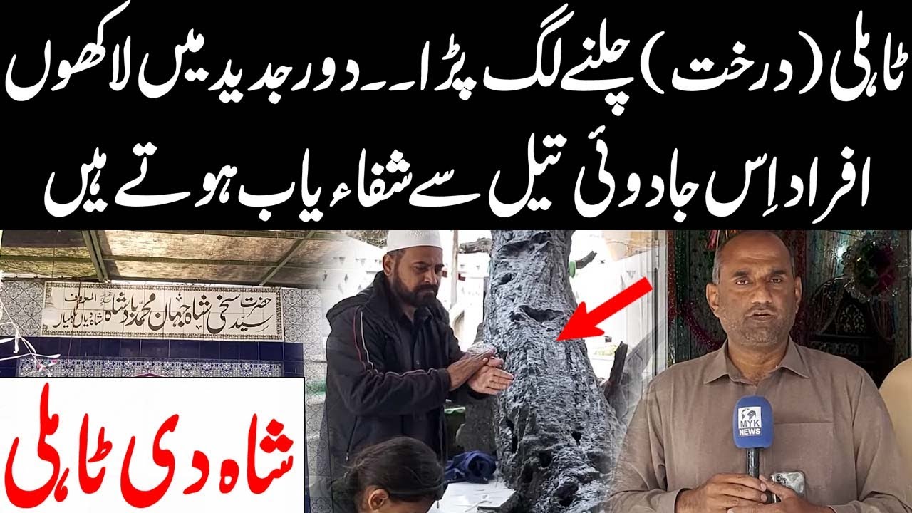 Shah Di Taliyan Darbar Rawalpindi | Tahli Ka Darakht Chalne Lag Para | Myk Exclusive