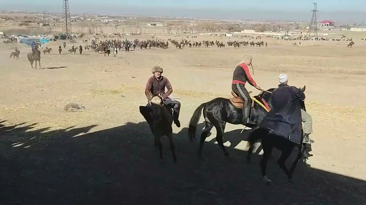 Samarqand oxalik