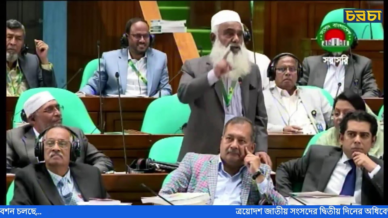 ত্রয়োদশ জাতীয় সংসদের দ্বিতীয় দিনের অধিবেশন চলছে...
