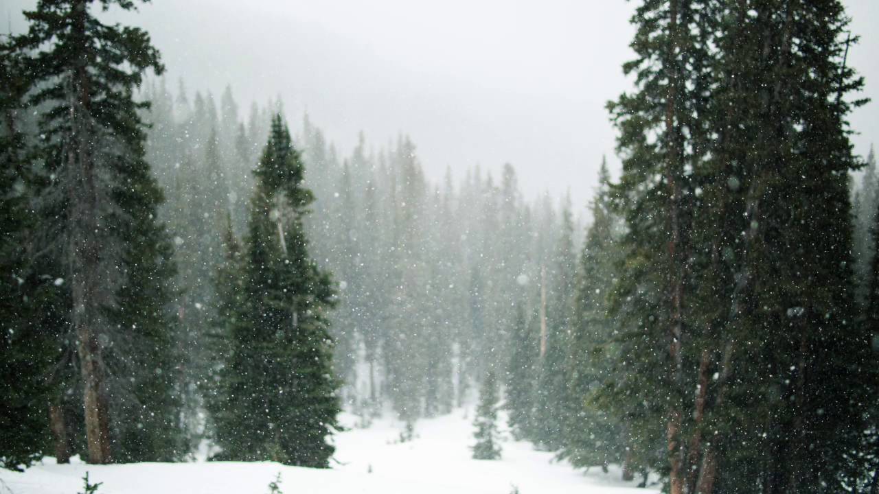 Tim Shaufert - And Around You Is Snow