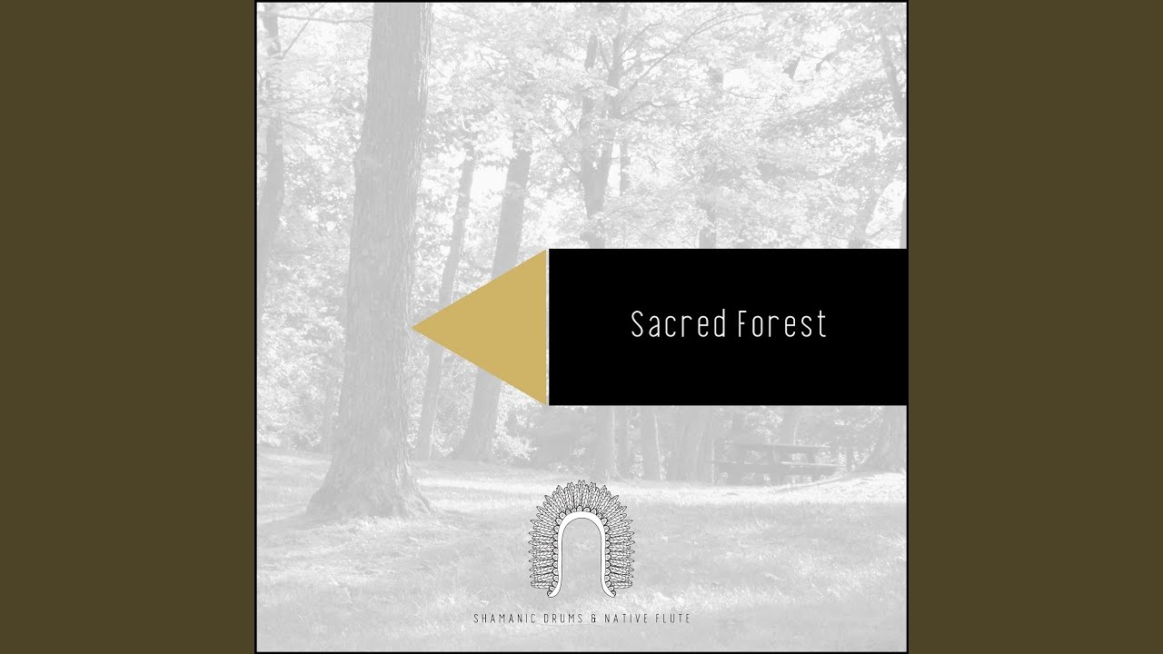 Ethnic Soundscapes