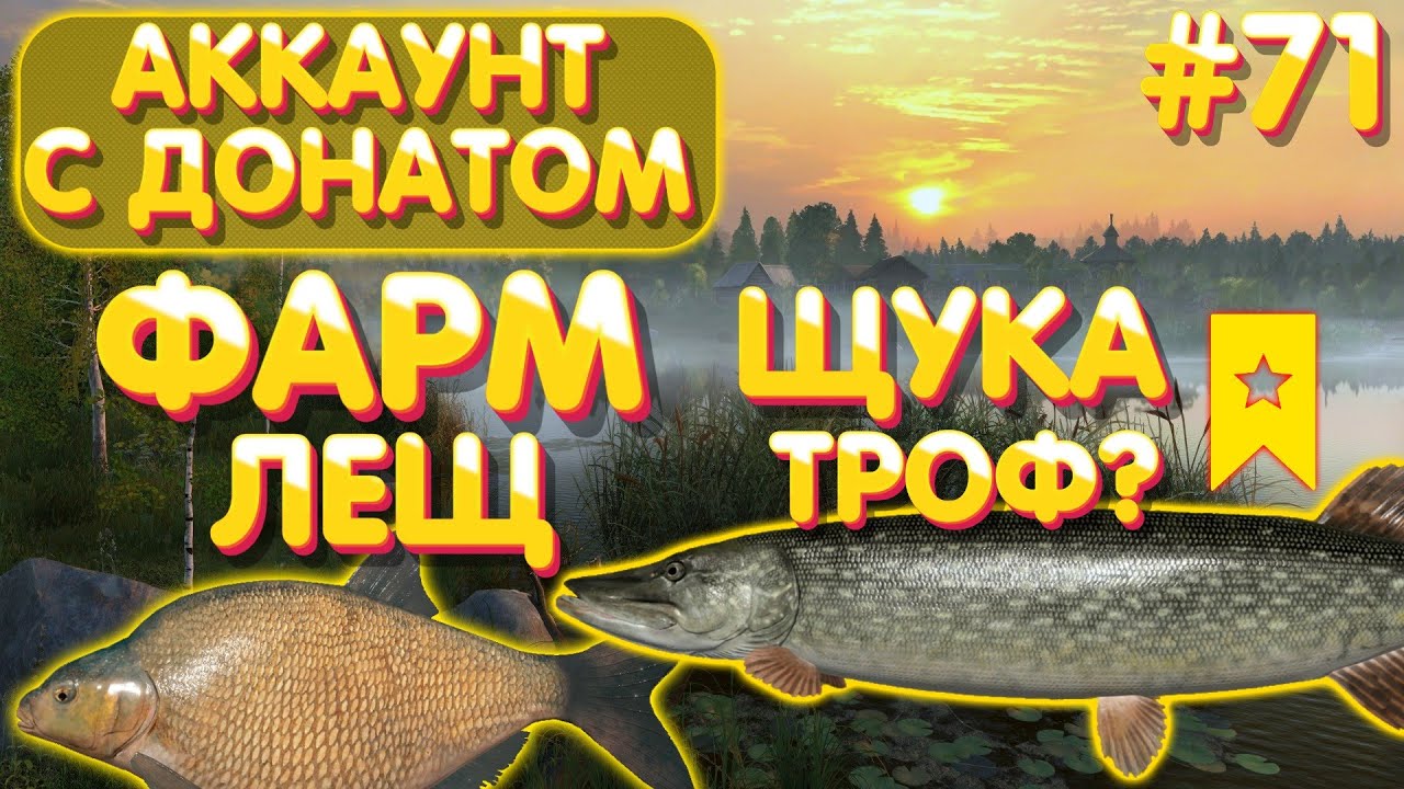 Аккаунт с донатом #71 | Лещ + Щука трофей? | ФАРМ - Острог | Русская Рыбалка 4