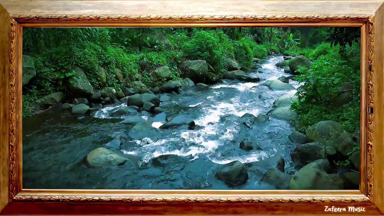💥🎶 Relaxing Majestic Forest Sounds, River Flow  | Gentle Nature Sounds ASMR for Sleep & Meditation |