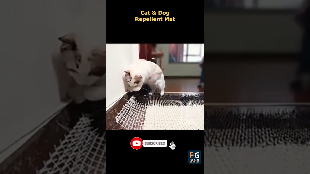 Ultimate Cat Repellent Mat: Keep Cats & Dogs Away from Your Garden! #shorts #catrepellentmat