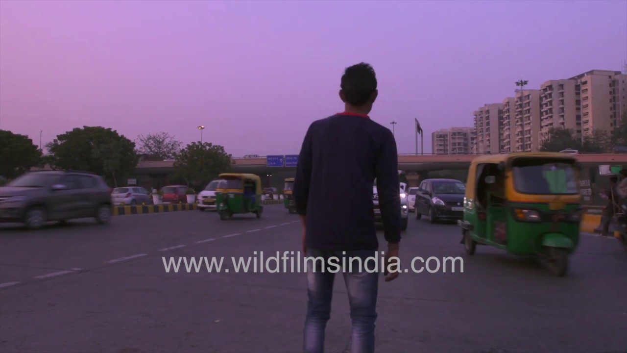 AIIMS flyover traffic time lapse from New Delhi: day to night
