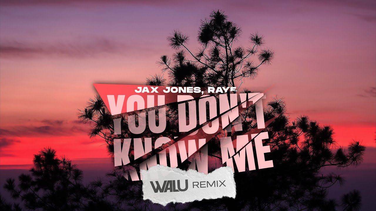 JAX JONES, RAYE - YOU DON'T KNOW ME (DJ WALU 2025 REMIX) 