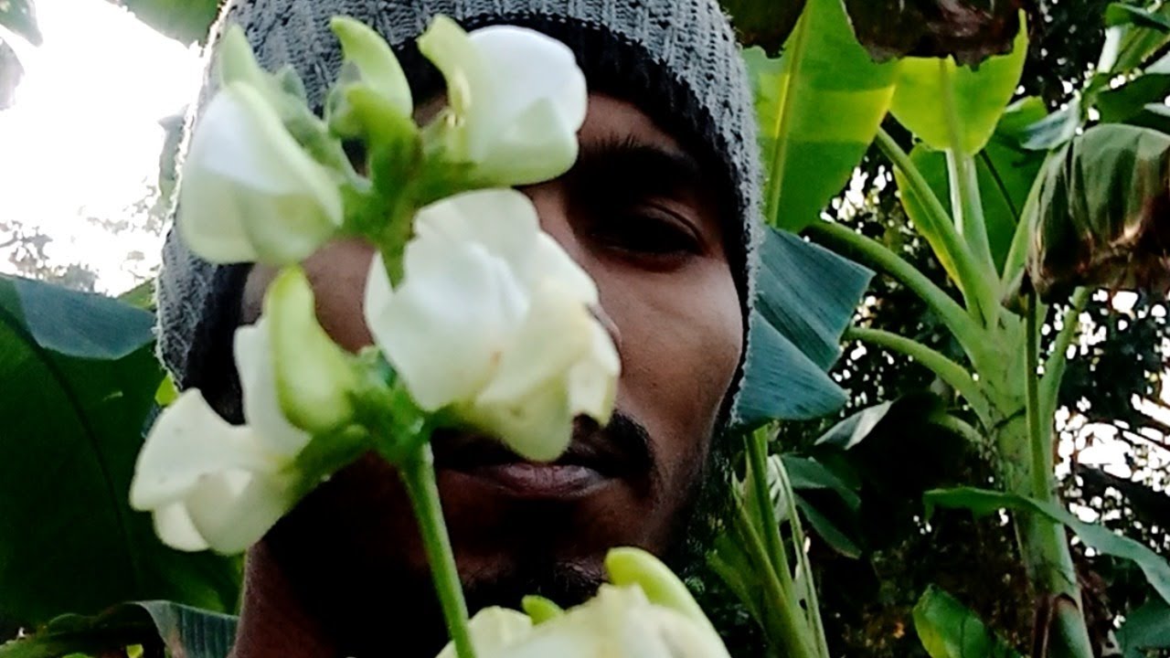 Bepari Agro Farm House