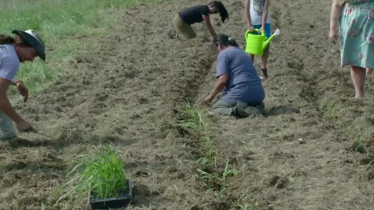 Potawatomi tribal members gather for corn planting workshop