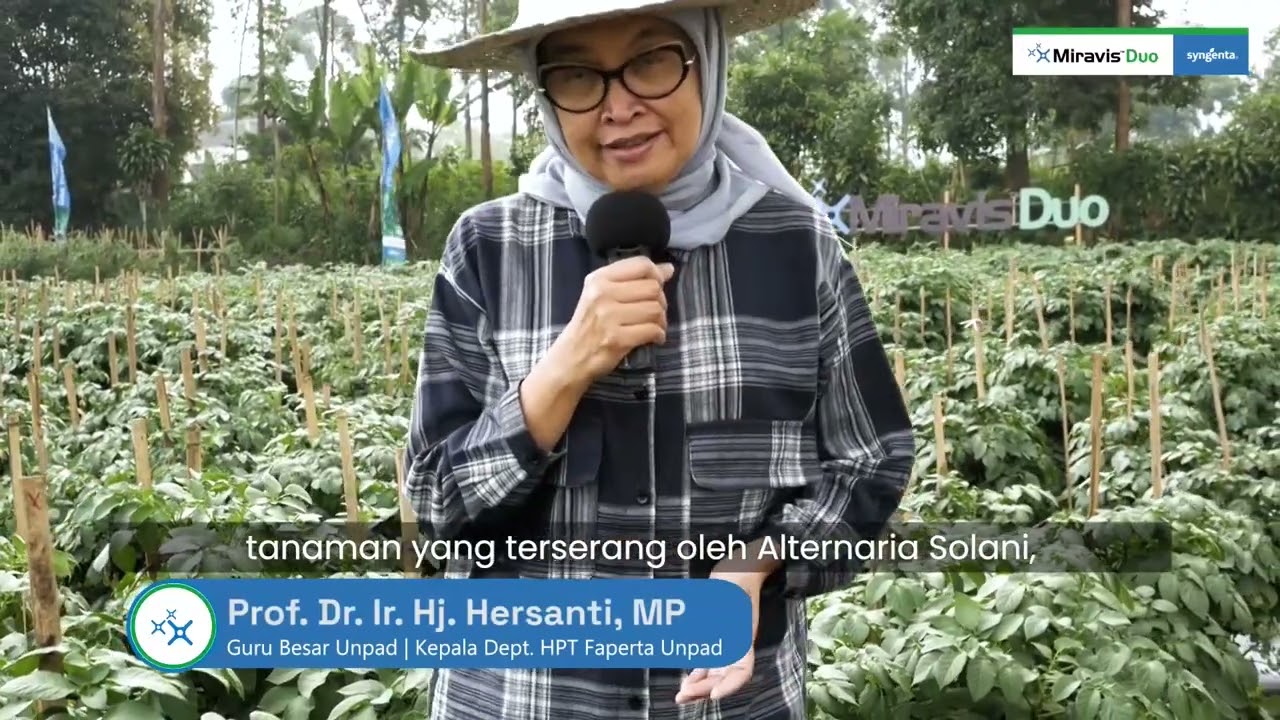 Aplikasi Teknologi Untuk Kendalikan Alternaria Solani Pada Tanaman Tomat, Kentang, dan Bawang Daun