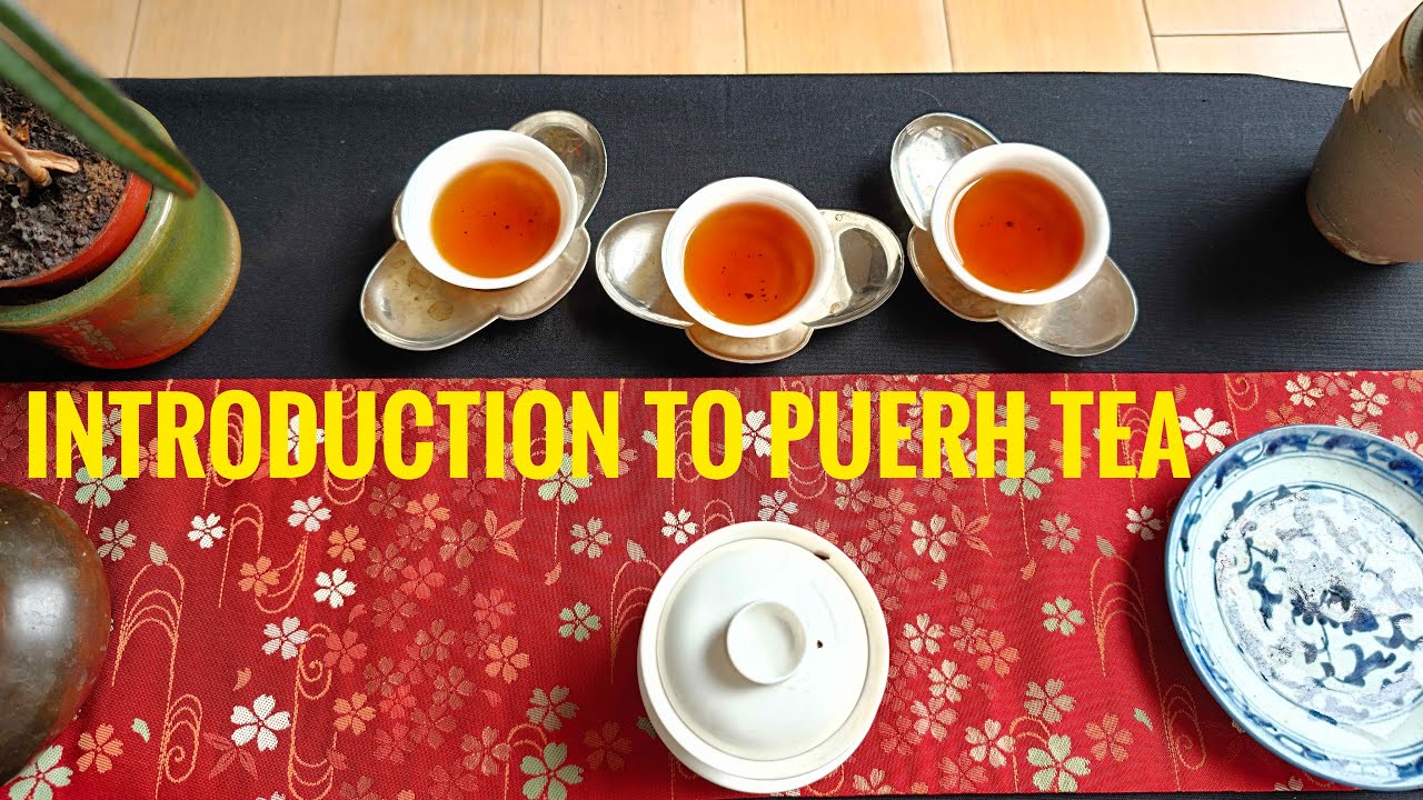 Introduction to puerh tea