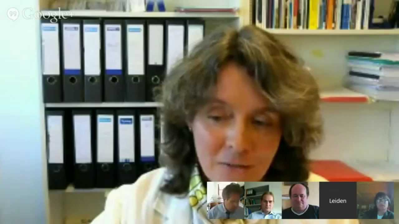 MOOC The Changing Global Order: UNSC Reform Proposals (Leiden University)
