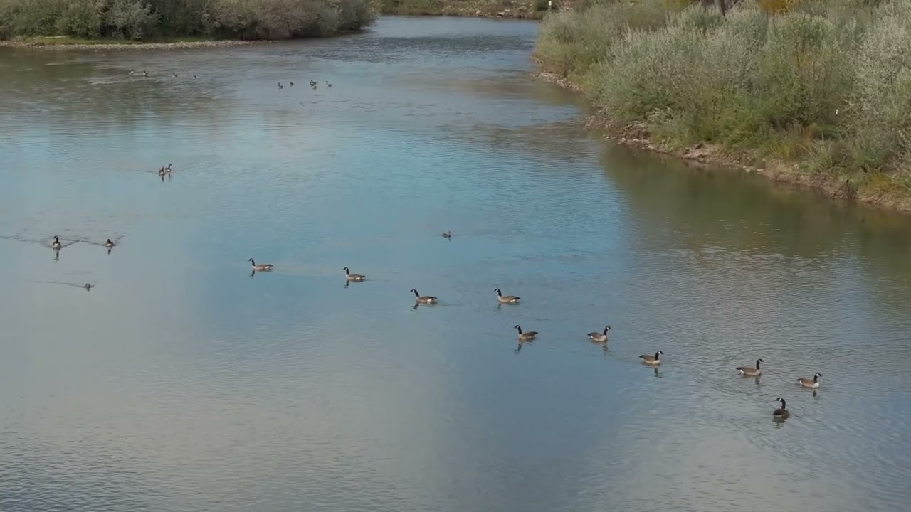San Juan De Herrera Farm 4k