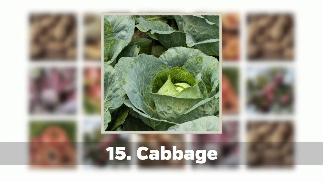 Summer Fruits and Vegetables in Eastern PA