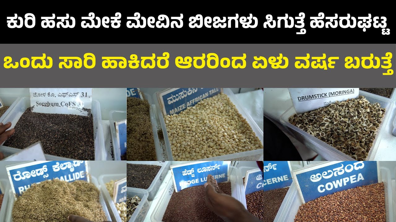 ಒಂದು ಸಾರಿ ಹಾಕಿದರೆ  6 ರಿಂದ 7  ವರ್ಷ ಬರುತ್ತೆ