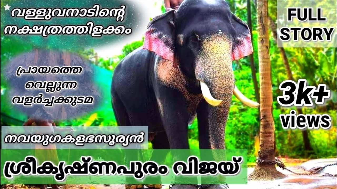 ശ്രീകൃഷ്ണപുരം വിജയ്/Sreekrishnapuram vijay|വള്ളുവനാടിന്റെ നക്ഷത്രതിളക്കം|പ്രായത്തെ വെല്ലുന്ന വളർച്ച
