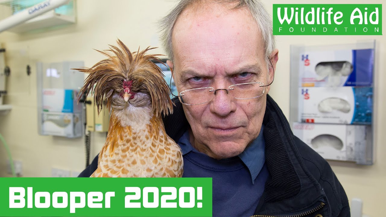 When it all goes wrong – Blooper reel 2020