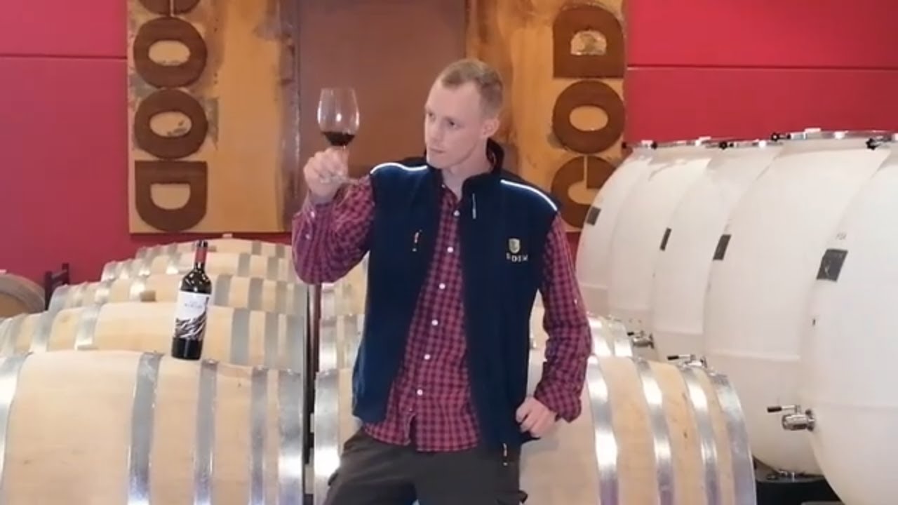 Bodem Bodegas 🍇 - DOP CARI&Ntilde;ENA - Cata LAS MARGAS 2018 - VINO TINTO 🍷