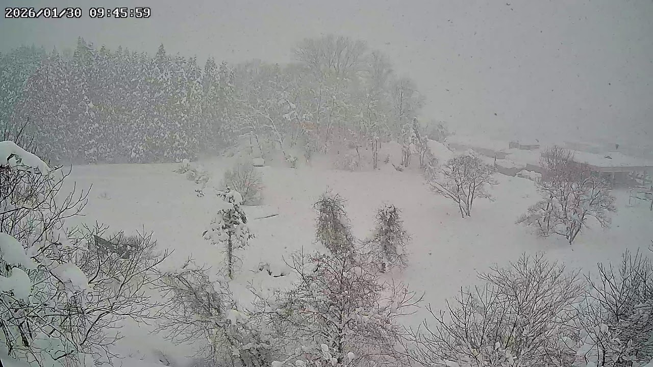 青森県青森市新城ライブカメラ Aomori Shinjo Live camera.world.cam