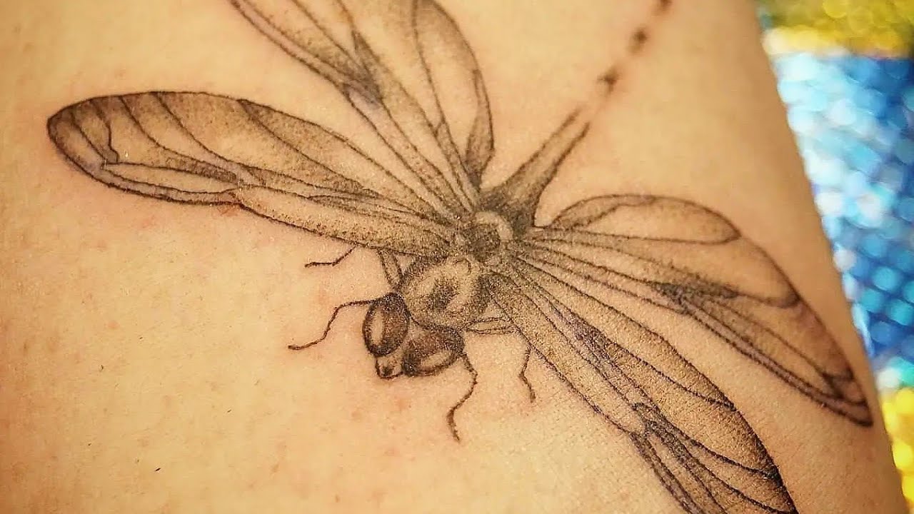 Forearm Dragonfly Tattoo Kellys Ink Tattoo Time